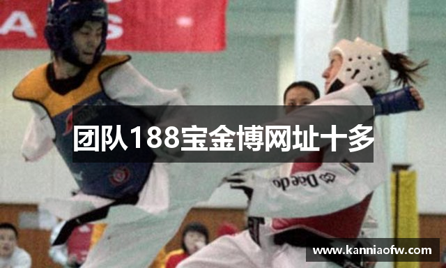 团队188宝金博网址十多